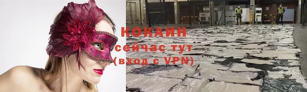 крисы Богородицк
