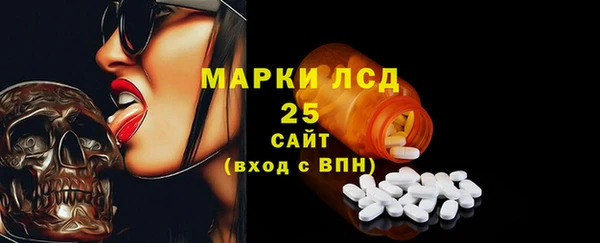 крисы Богородицк
