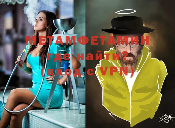 индика Аркадак