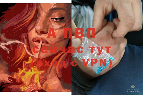 прущая мука Богданович