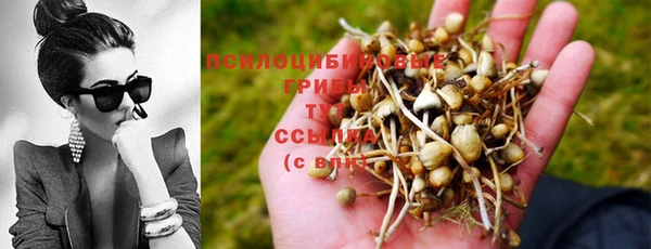 винт Белоозёрский