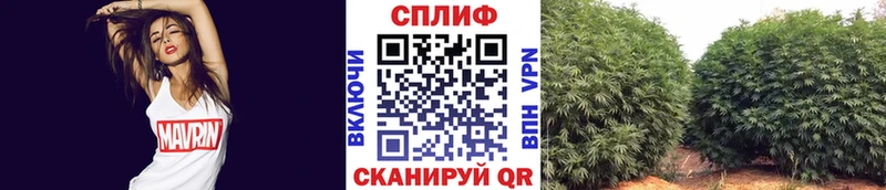 магазин продажи   Демидов  Каннабис ГИДРОПОН 